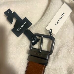 Coach belt